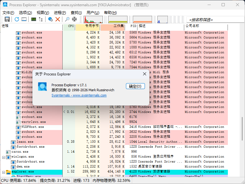 Process Explorer (进程资源任务管理器) v17.1 x64 x86 汉化版-玉桂狗