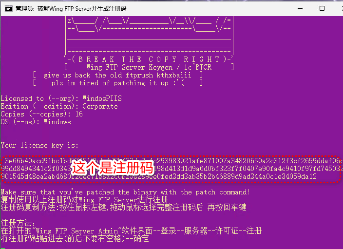 图片[3]-FTP服务器软件Wing FTP Server 8.2.4最新和谐版,可做局域网文件服务器-玉桂狗